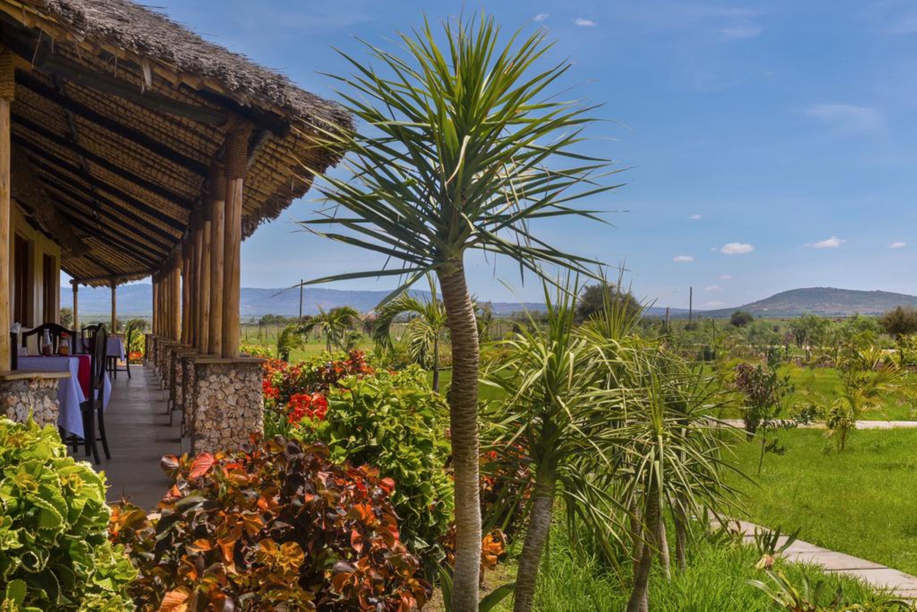 Una estructura con techo de paja, con asientos al aire libre, rodeada de exuberante vegetación y vistas a colinas lejanas.