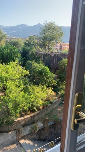 Une vue depuis une fenêtre donnant sur un jardin avec des arbres et un mur de briques.