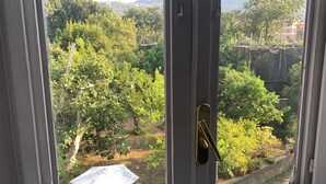 Blick durch ein Fenster mit einem Metallgriff auf einen Garten mit verschiedenen Bäumen und einer Backsteinmauer.