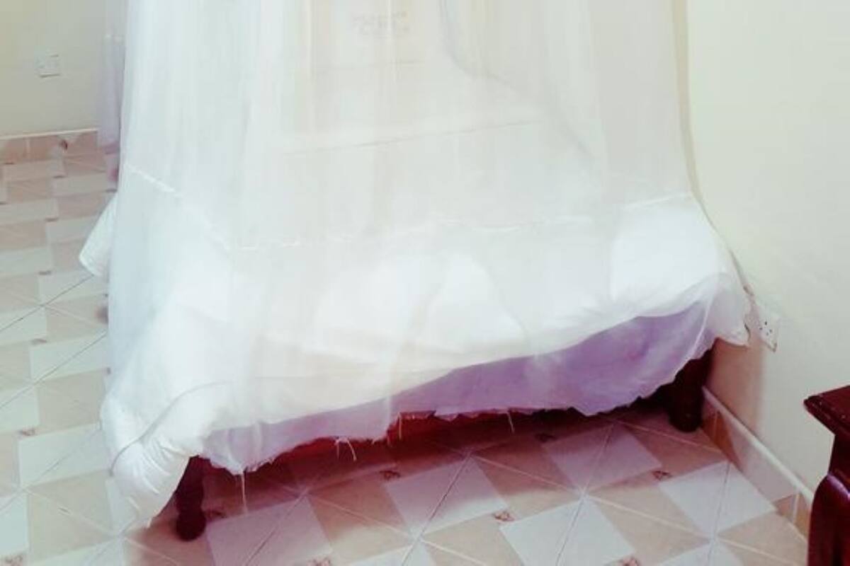 A room with a bed under a white canopy.