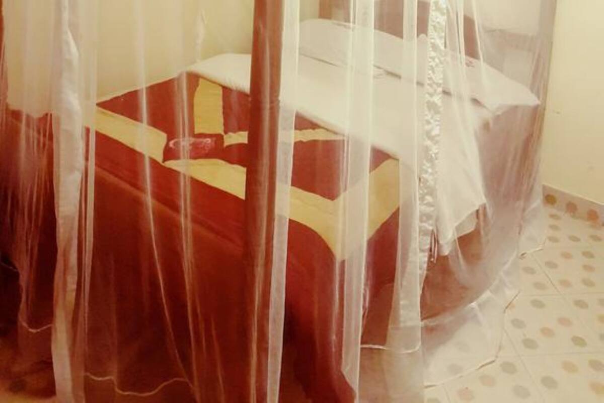 A room with a bed covered by a mosquito net, a wooden bed frame, and a patterned bedspread.