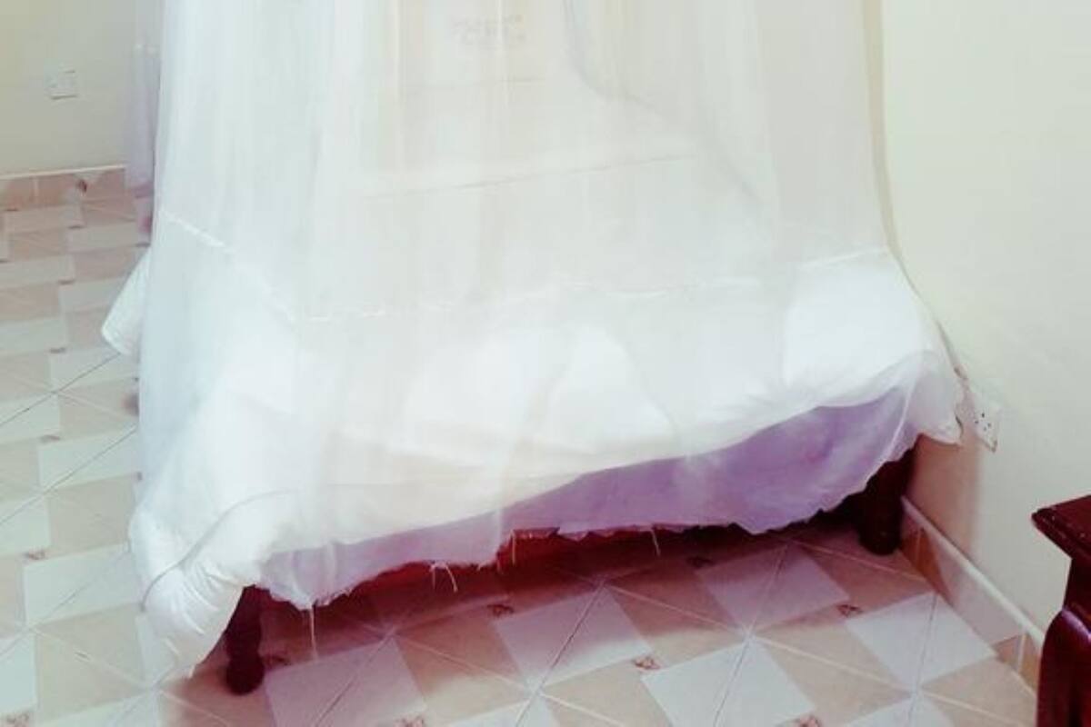 A room with a bed under a white canopy.