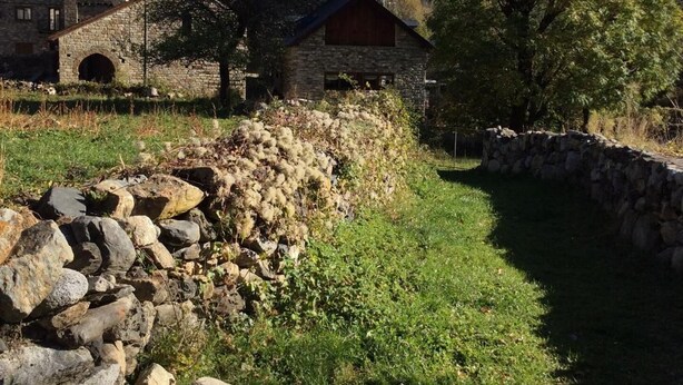 A stone building with a tower, surrounded by a stone wall and a grassy path. - Casa Rural l'Era de Ferro (La Vall de Boi)