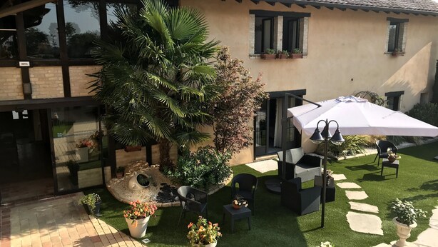 Un patio de hotel con una palmera, asientos al aire libre y una sombrilla blanca.