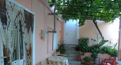 Garden Of Olive Trees