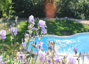 A swimming pool surrounded by lush greenery and purple flowers. - Chez Elise et Gabriel (Mirmande)