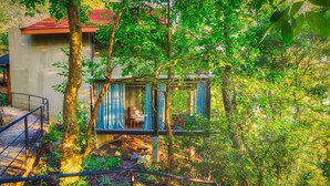 A treehouse with a glass enclosure, surrounded by lush greenery and a staircase leading up to it. - Arangala Forest Lodge (Naula)