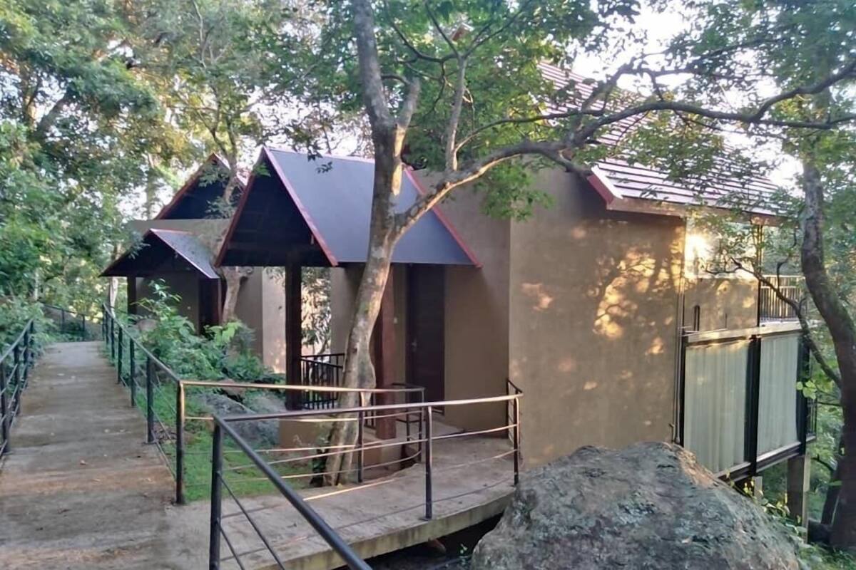 A pathway leading to a small building with a metal roof and a wooden deck.