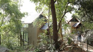 Superior Room, 1 King Bed, Mountain View | View from room