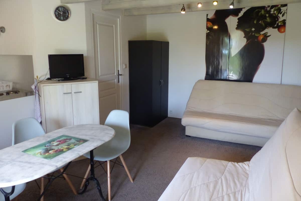 Comfort Apartment, Private Bathroom | Lounge
