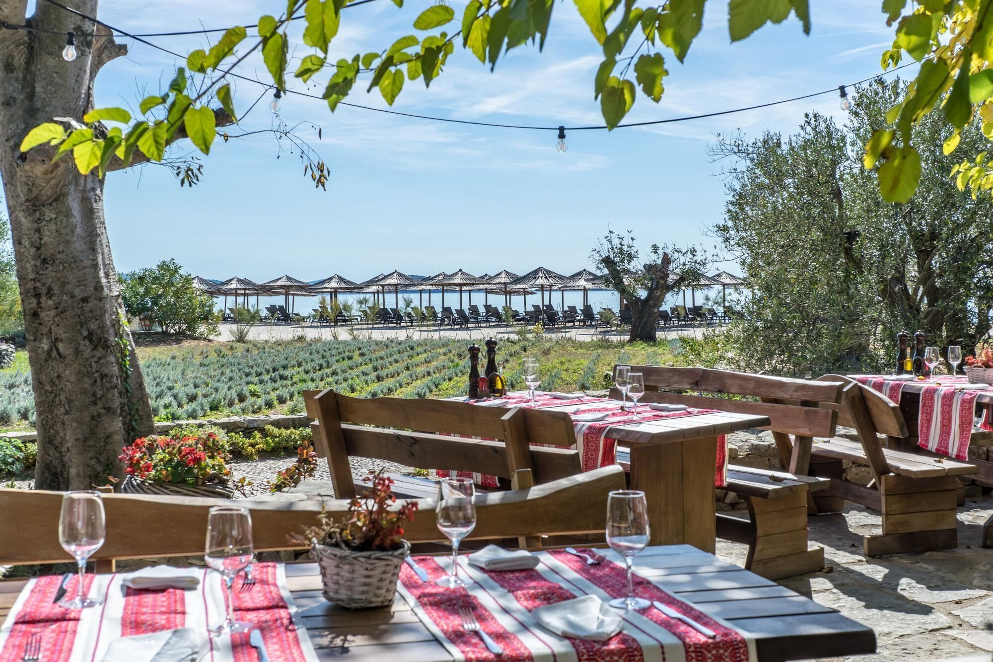 Un espace de restauration en plein air avec des tables et des bancs en bois, une vue sur la plage et une rangée de parasols en arrière-plan.