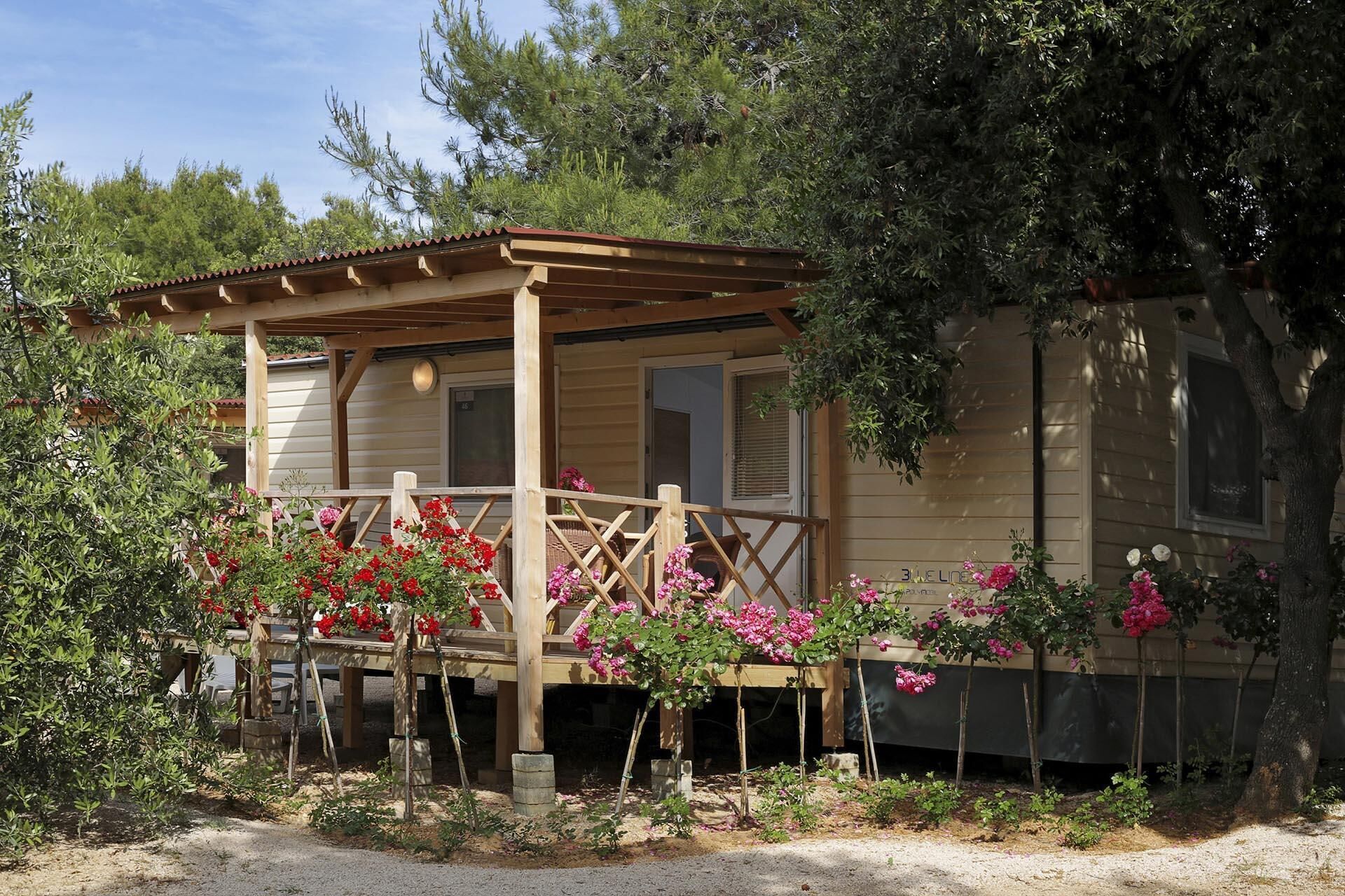 A wooden cabin with a porch, surrounded by flowering plants and trees.