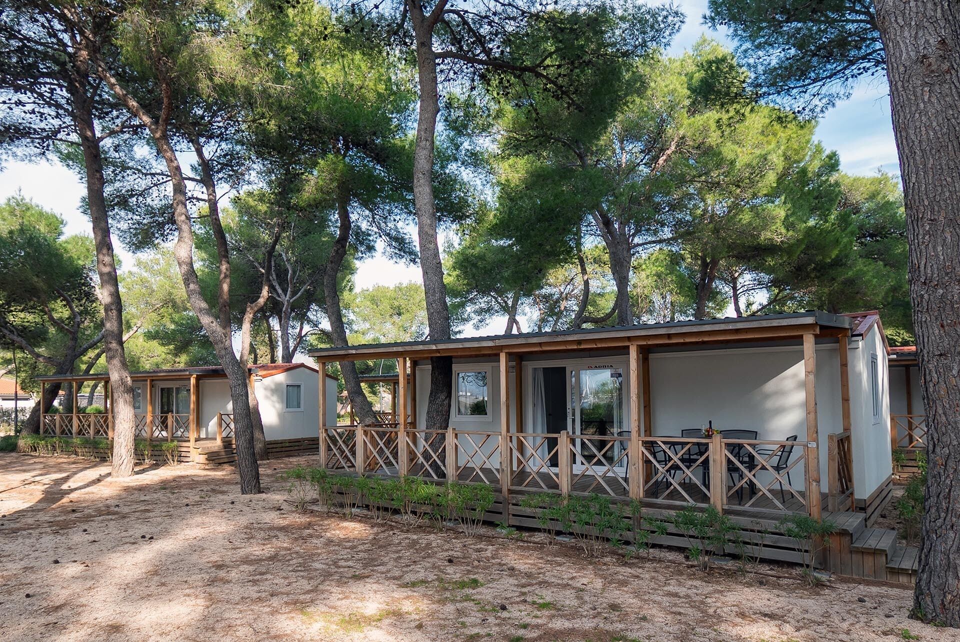 A row of cabins with wooden decks and large windows, surrounded by tall trees.