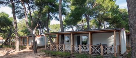 A row of cabins with wooden decks and large windows, surrounded by tall trees.