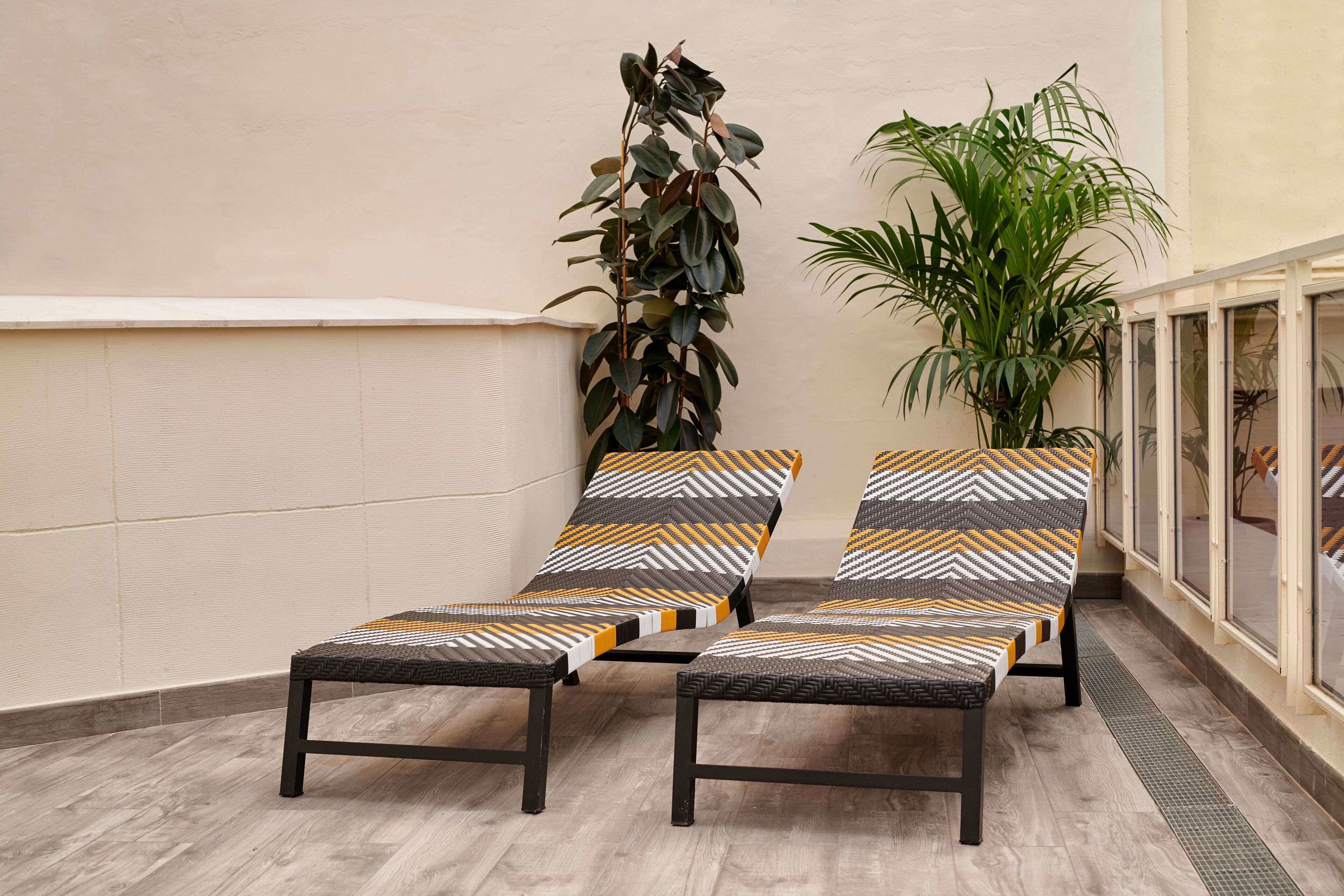 A sunlit indoor area with two lounge chairs and a tall plant.