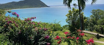 Beach 100m away ▪ Sea view ▪ Apartment classified 3*quiet▪ garden with trees ▪1 bedroom