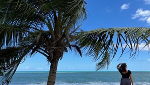 A beach scene with a palm tree and ocean view. - Beach 100m away ▪ Sea view ▪ Apartment classified 3*quiet▪ garden with trees ▪1 bedroom (Le Moule)