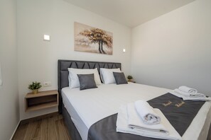 Apartament, 1 llit de matrimoni i sofà llit, terrassa | Caixa forta a l'habitació, planxa i posts de planxar i wifi gratuïta 