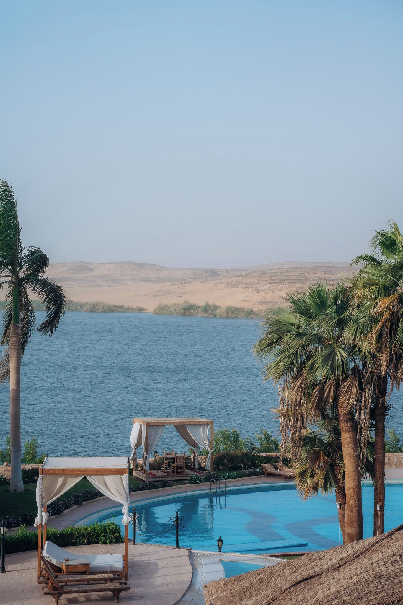 A pool area with a view of the sea, a palm tree, and a wooden canopy structure.