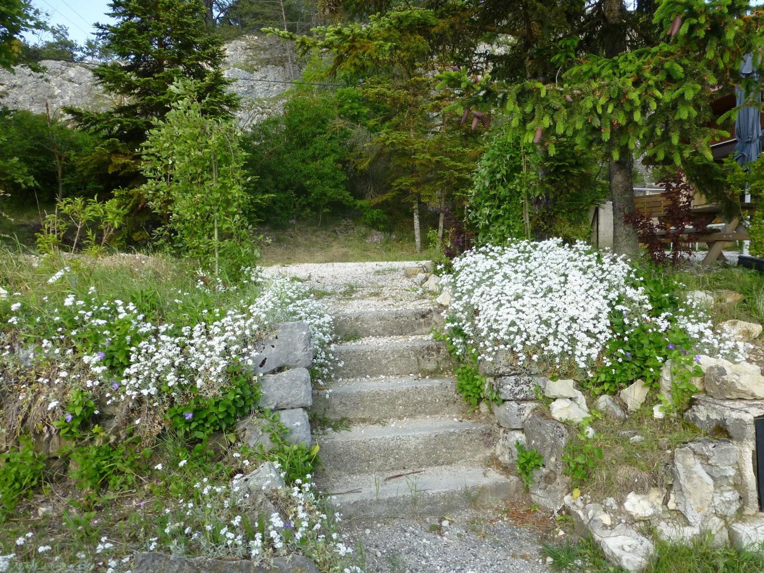 Una escalera de piedra rodeada de flores blancas y follaje verde.