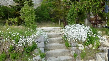 Una escalera de piedra rodeada de flores blancas y follaje verde.