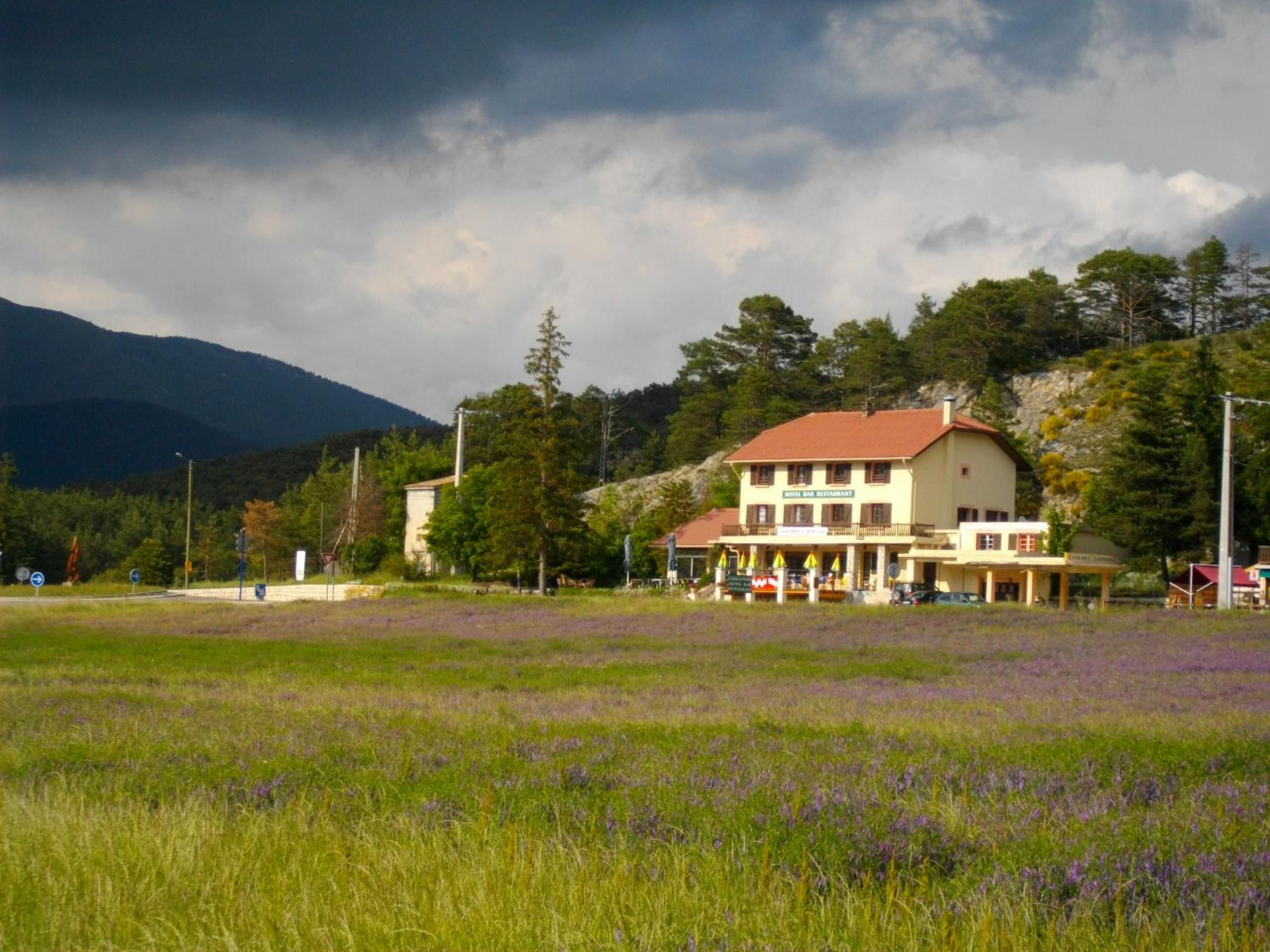 Un bar restaurante de hotel con techo rojo, ubicado en un campo lleno de flores moradas, rodeado de árboles y montañas.