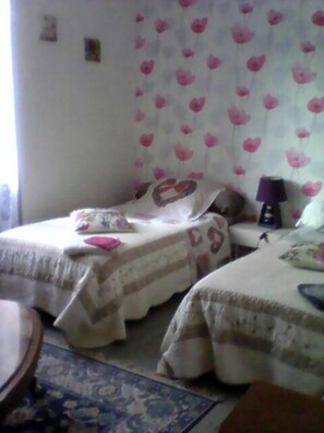 Twin Room, 2 Twin Beds | Individually decorated, individually furnished, iron/ironing board - La Maison des Vendangeurs (Trausse)