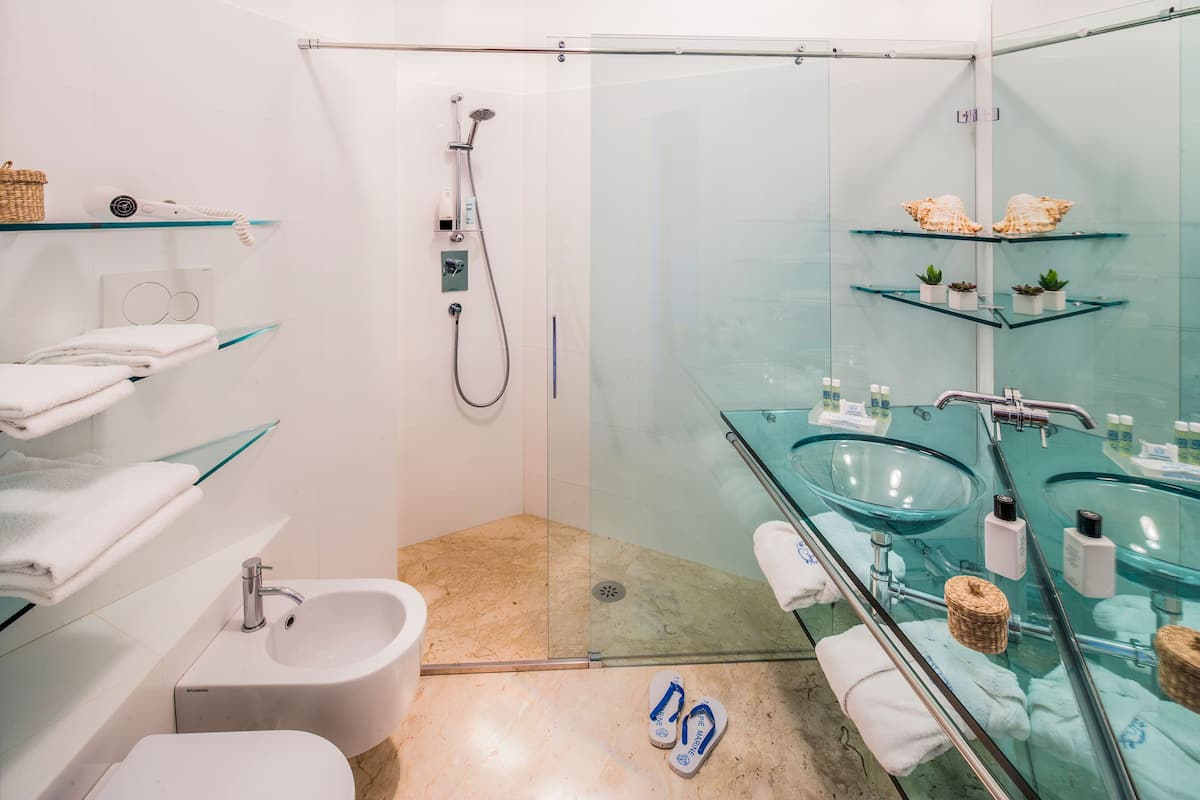 shower, free toiletries, hair dryer, slippers