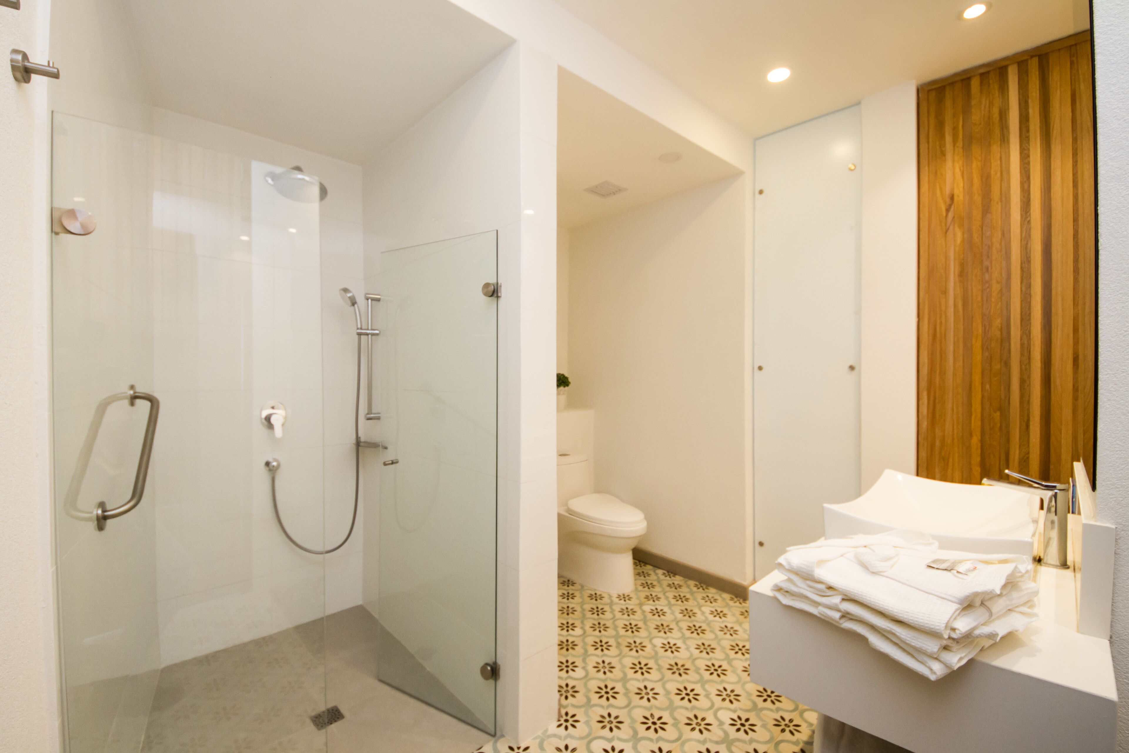 shower, free toiletries, hair dryer, towels