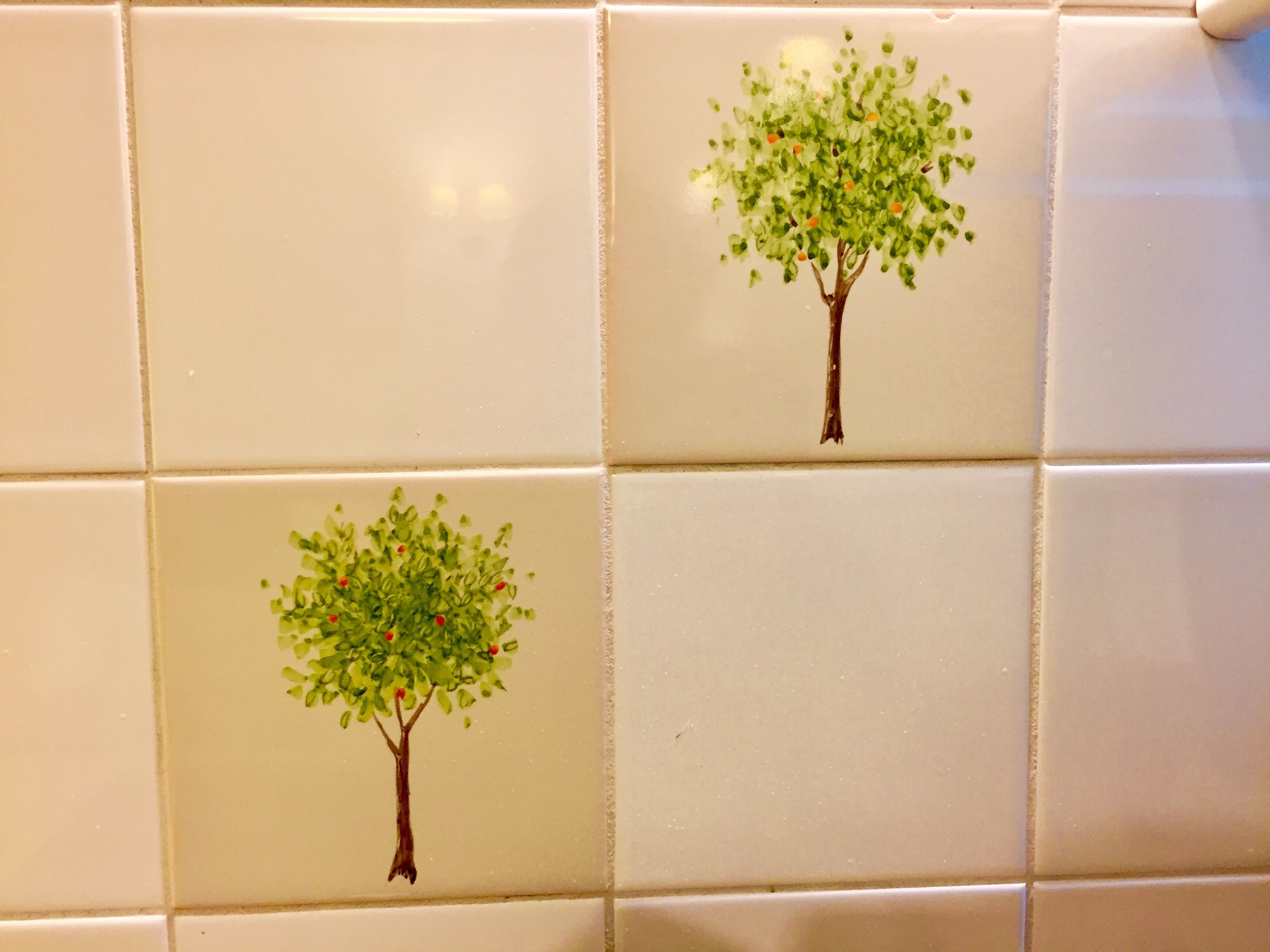 Photo - Quinta Das Faias