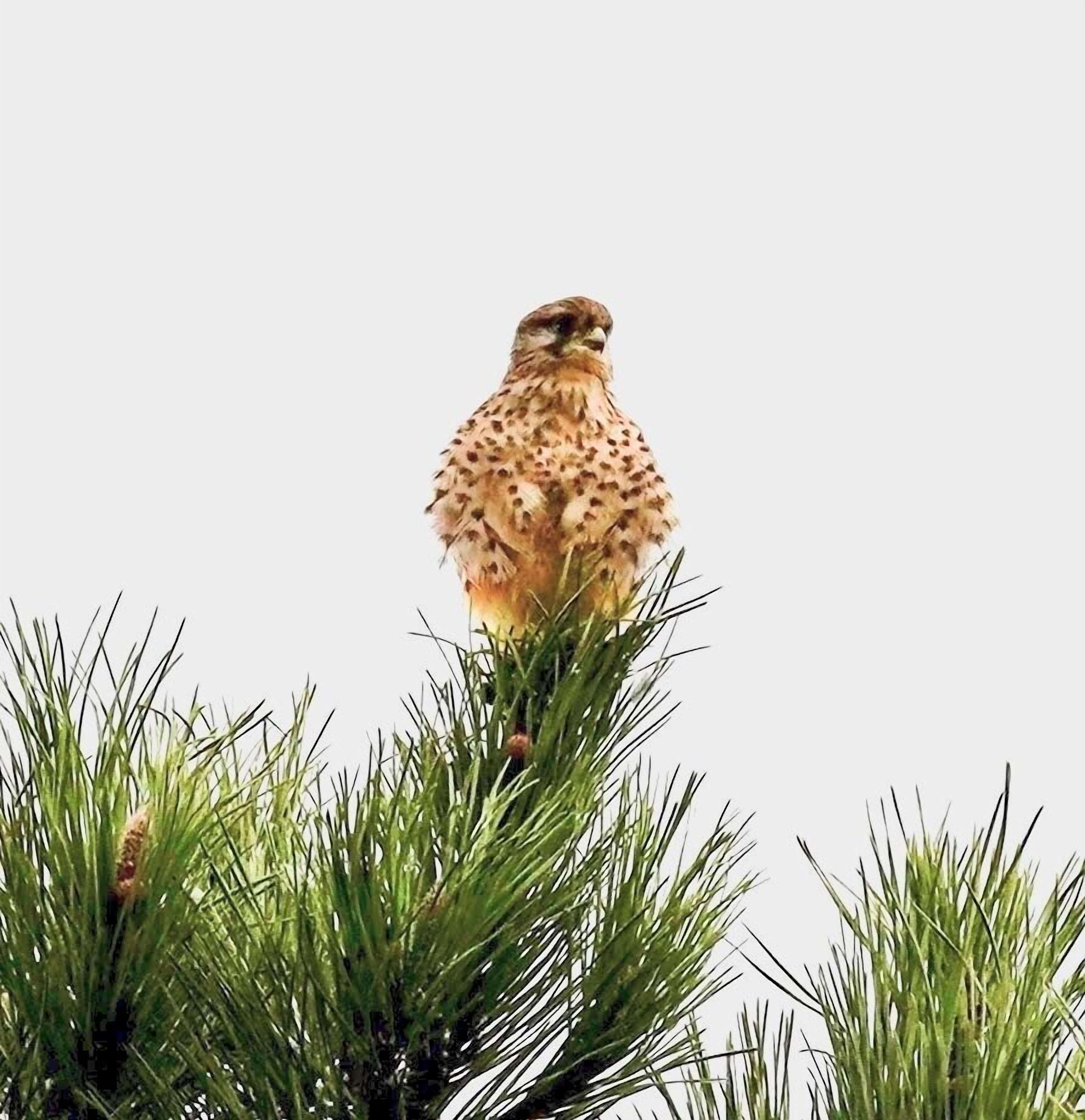 Photo - Quinta Das Faias