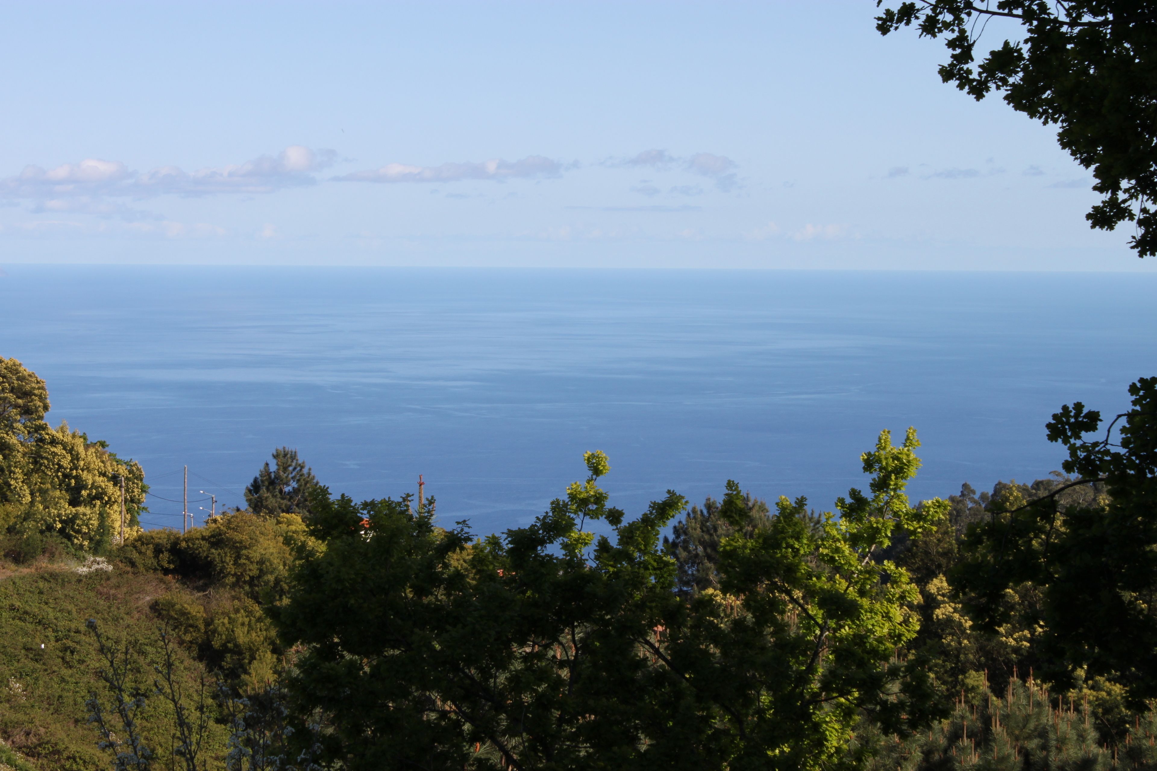 Photo - Quinta Das Faias