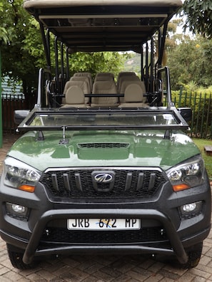 Game drive - Kruger Park Tours (Mbombela)
