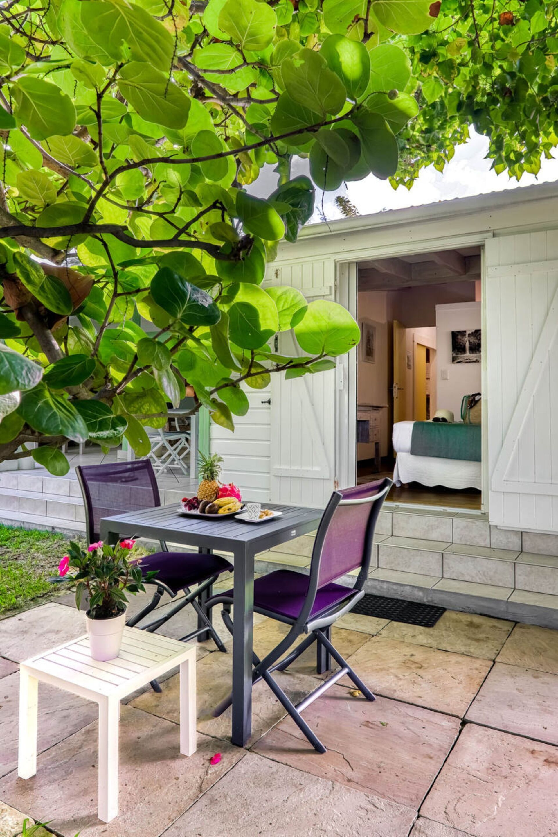 Chambre Double, salle de bains privée, vue mer (Raisin De Mer) | Terrasse/Patio