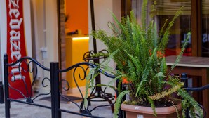 Front of property - Surf Hostel (Batumi)