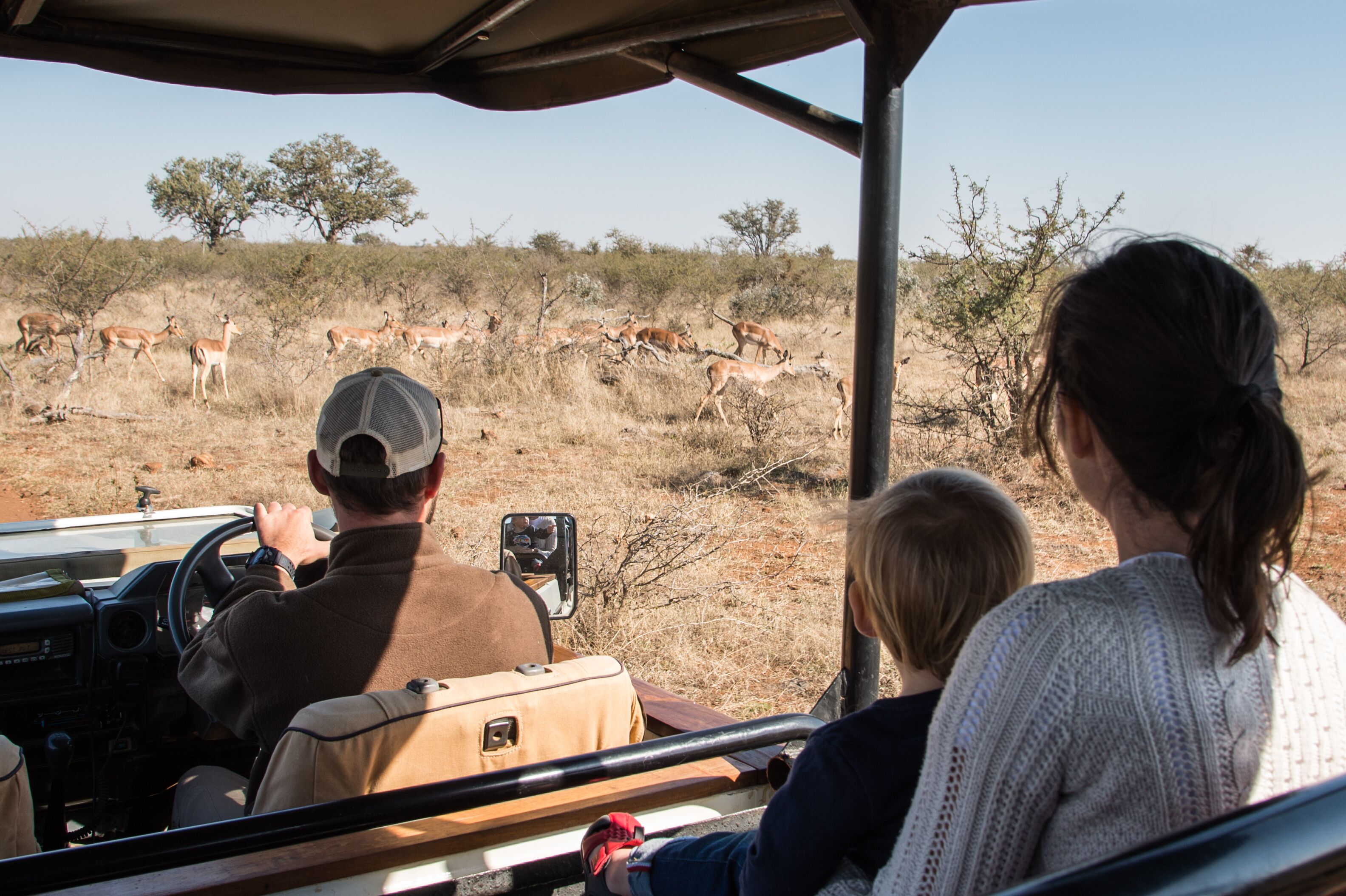 A safari vehicle with passengers observing wildlife in a savannah setting.