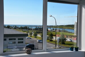 View from room - Thorbergsson's Apartments (Kópavogur)