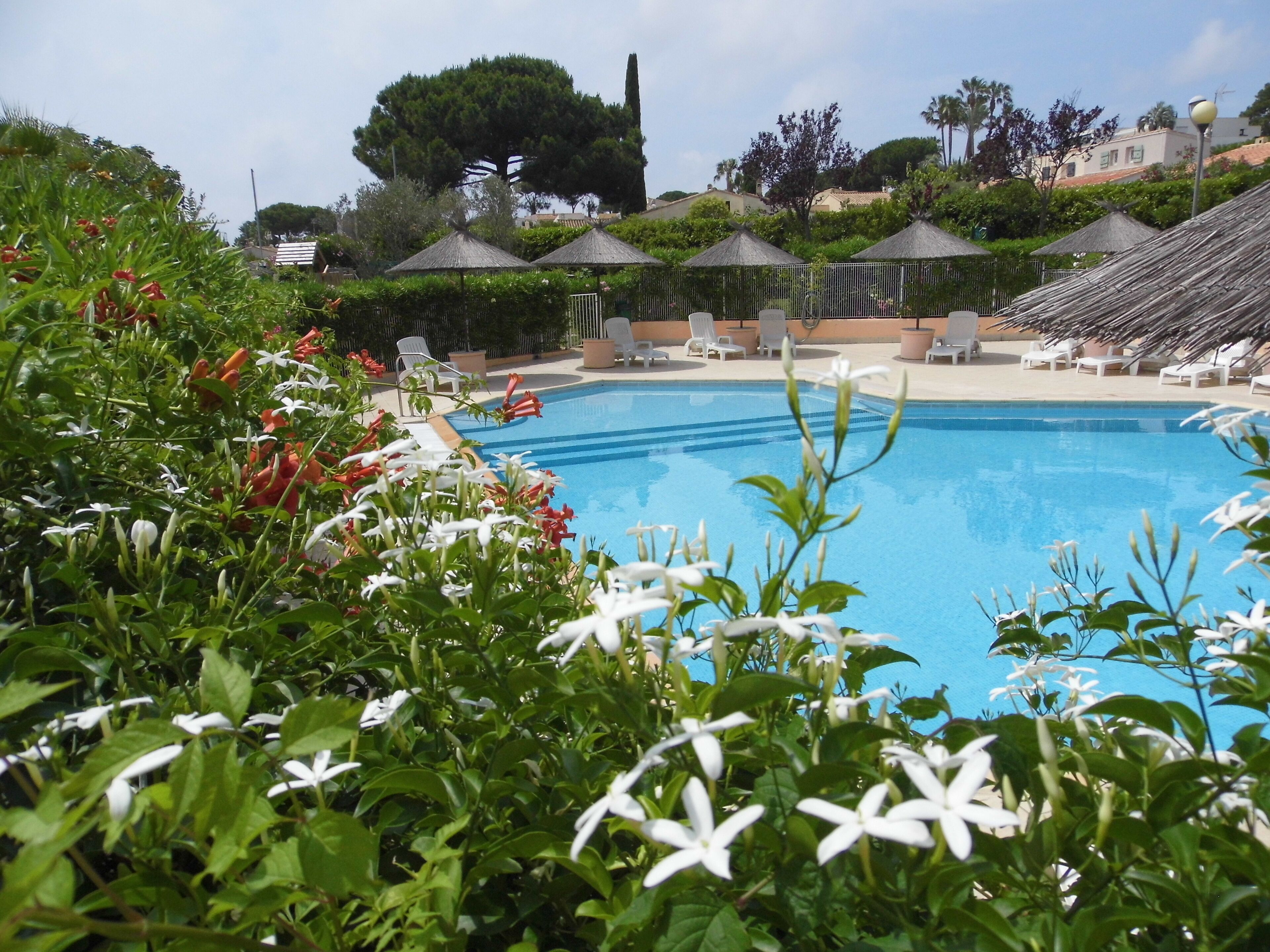 En swimmingpool omgivet af frodig vegetation og hvide blomster, med liggestole og parasoller i baggrunden.