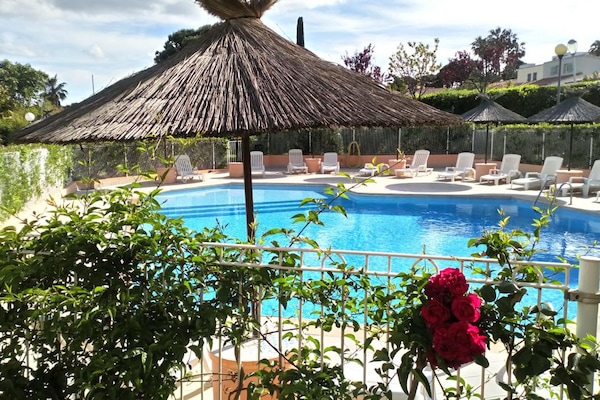 Seasonal outdoor pool, open 10:00 AM to 8:00 PM, pool umbrellas