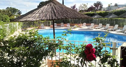 Brit Hotel Confort Helios Agde