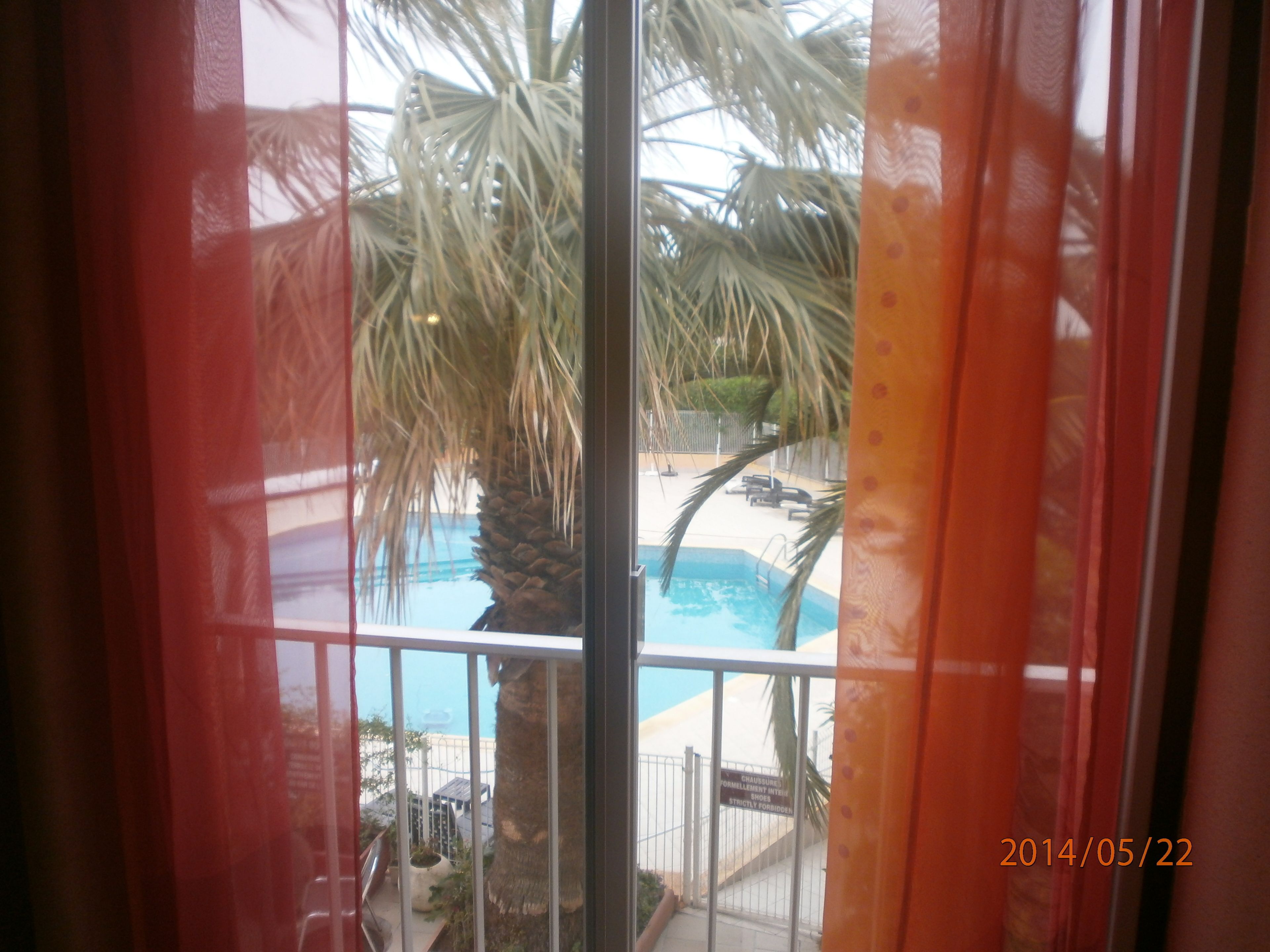 Vista de una piscina con palmeras y una valla al fondo.