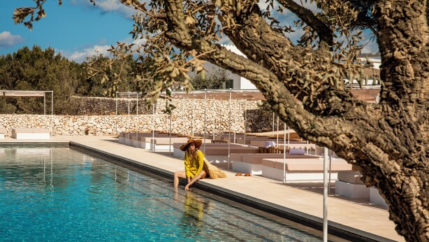 A pool area with a stone wall and a tree in the foreground.