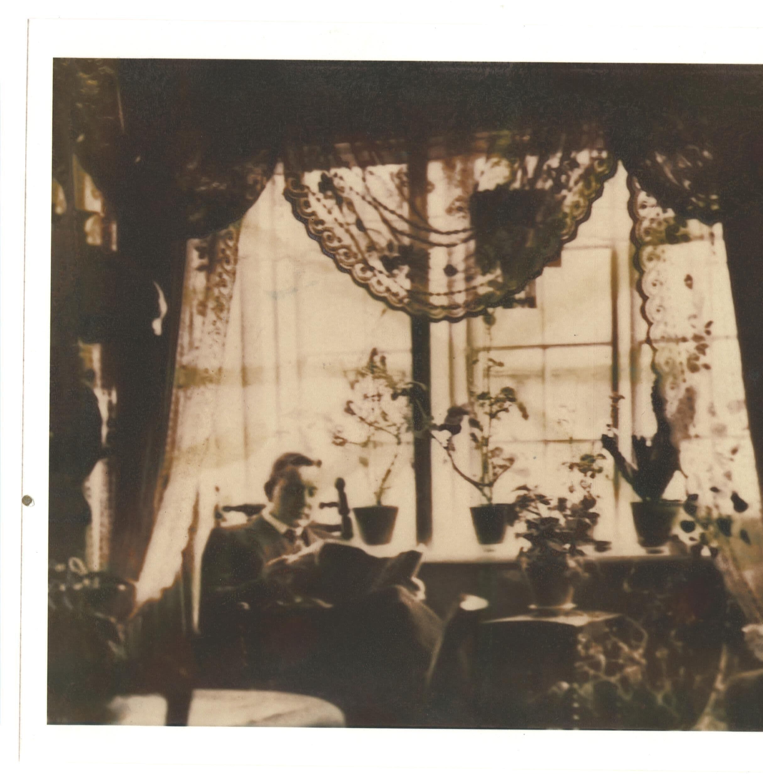 A vintage photograph of a room with a large window, curtains, and several potted plants on a table.