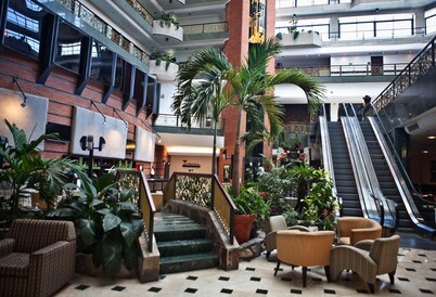 Executive Suites Valencia