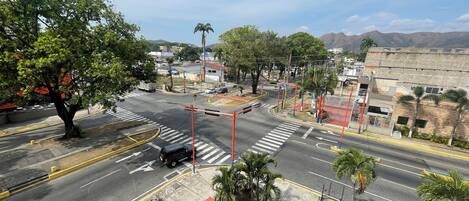 Una carretera con varios carriles, un paso de peatones, palmeras y edificios al fondo.