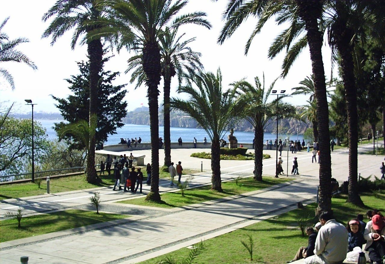 Een park met palmbomen, een waterkant en mensen die wandelen.