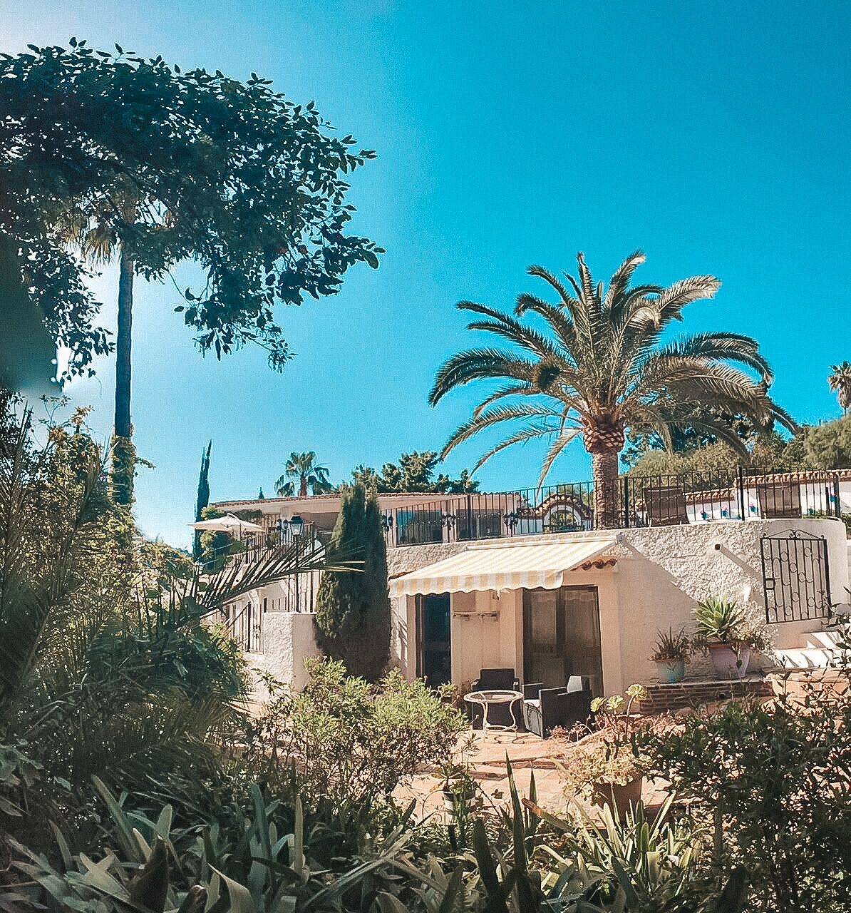 Una villa con patio, rodeada de abundante vegetación y palmeras.