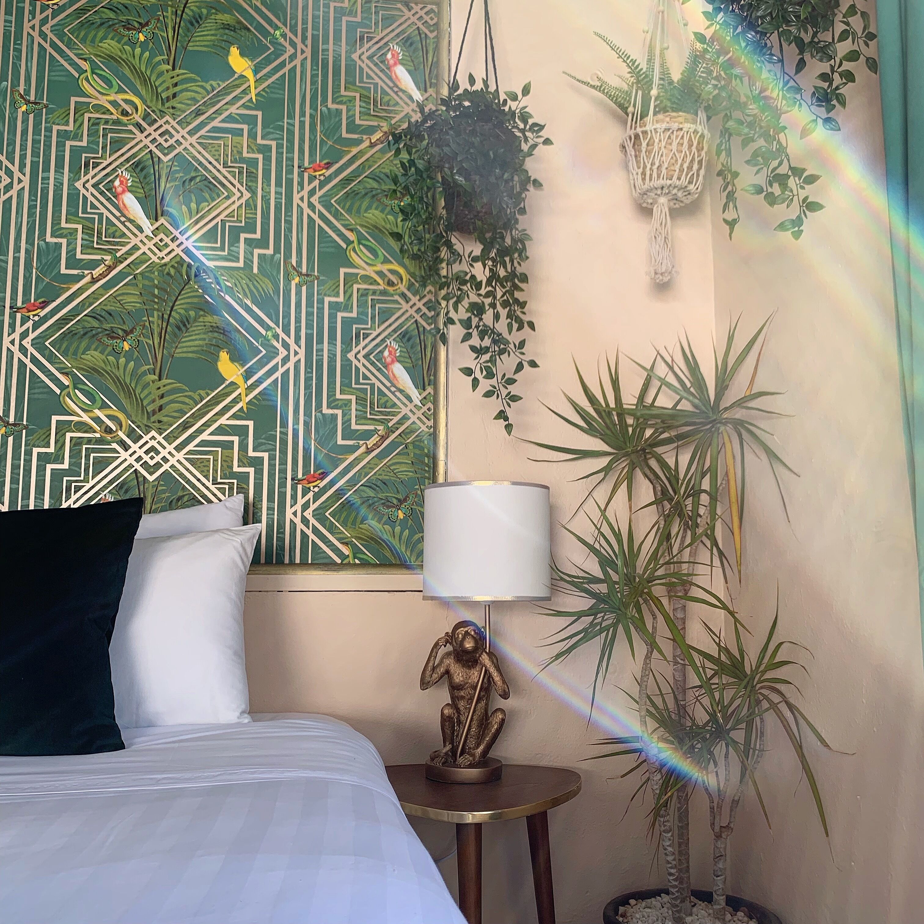 A hotel room with a bed, a nightstand, a lamp, a wall art with a geometric pattern, and several potted plants.
