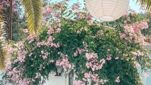 A house with a white exterior, a balcony, and a pool area with red inflatable rings. - Jardines De La Reina Boutique B&B (Marbella)