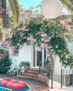 Studio, uitzicht op zwembad | Terras